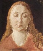 Albrecht Durer Portrait of a woman with Loose Hair Spain oil painting artist